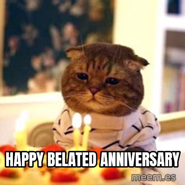 Birthday Cat meme: happy belated anniversary