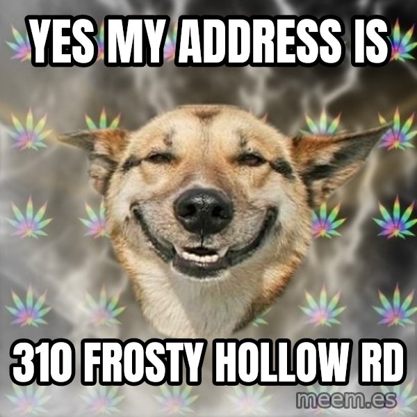 Stoner Dog meme: YES MY ADDRESS IS / 310 FROSTY HOLLOW RD