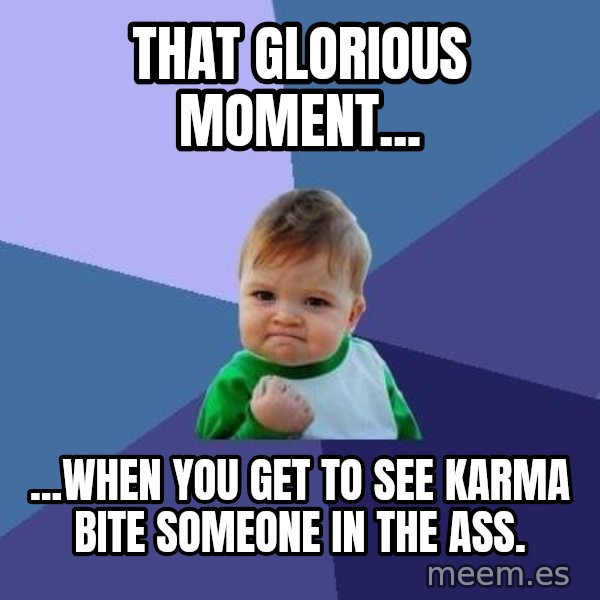Success Kid meme: That glorious moment... / ...when you get to see Karma bite someone in the ass.