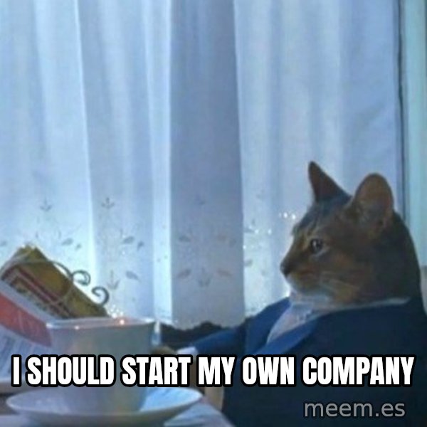newspaper cat realization meme: I should start my own company