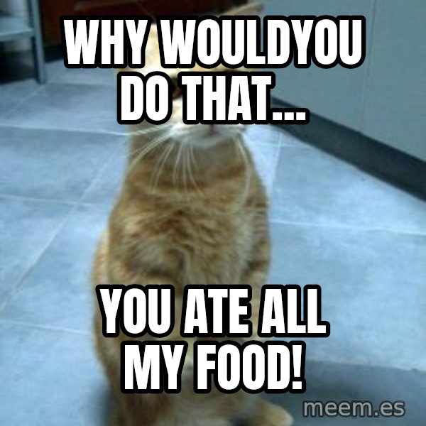 Sadcat meme: Why wouldyou do that... / You ate all my food!