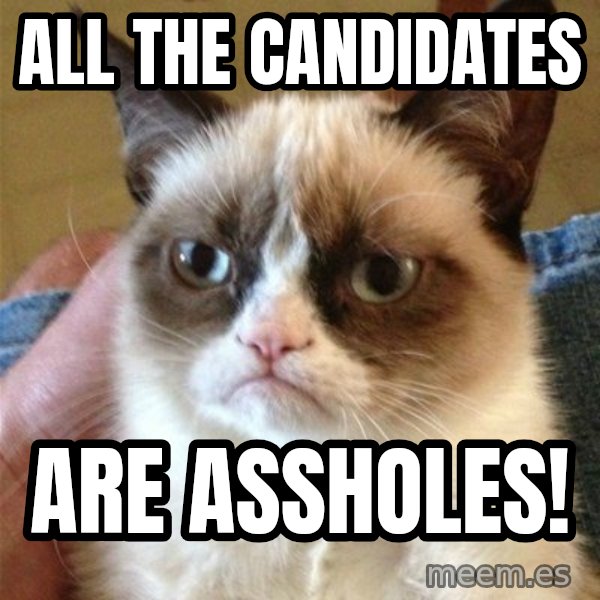 Grumpy Cat  meme: all the candidates / are assholes!