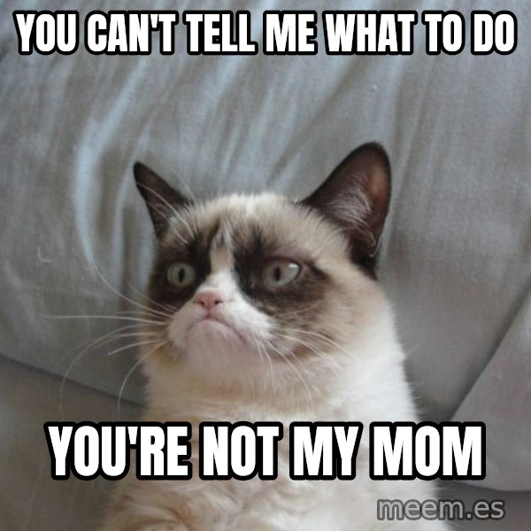 Grumpy cat good meme: You can't tell me what to do / You're not my mom