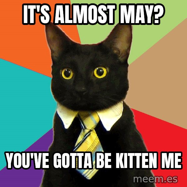 Business Cat meme: It's almost May? / You've gotta be Kitten me