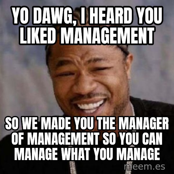 Yo Dawg meme: Yo dawg, I heard you liked management / so we made you the manager of management so you can manage what you manage