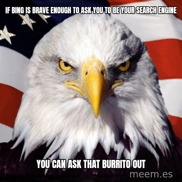 American Pride Eagle meme: If bing is brave enough to ask you to be your search engine / you can ask that burrito out