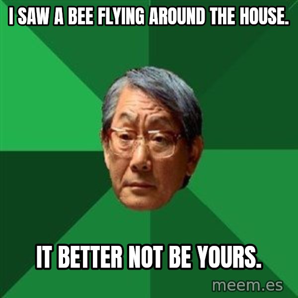 High Expectations Asian Father meme: i saw a bee flying around the house. / it better not be yours.