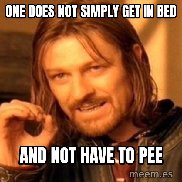 One Does Not Simply meme: one does not simply get in bed / and not have to pee