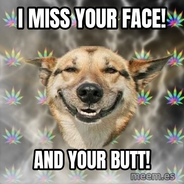 Stoner Dog meme: I miss your face! / And your butt!
