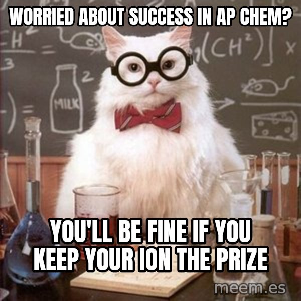 Chemistry Cat meme: Worried about success in AP Chem? / You'll be fine if you keep your ion the prize
