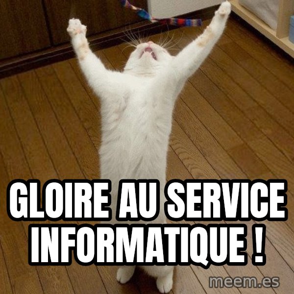 praise the lord cat meme: gloire au service informatique !