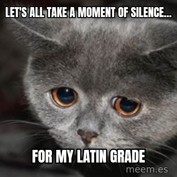 Sadcat meme: Let's all take a moment of silence... / for my Latin grade