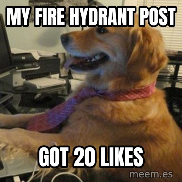 I have no idea what I'm doing - Dog with Tie meme: my fire hydrant post / got 20 likes