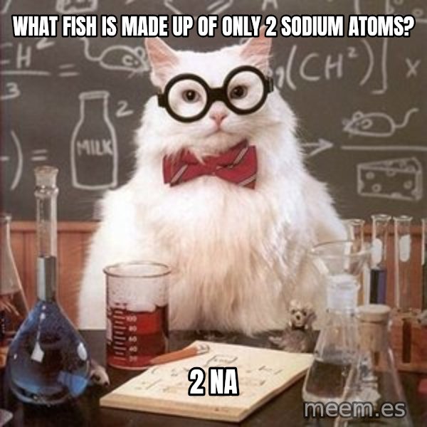 Chemistry Cat meme: What fish is made up of only 2 sodium atoms? / 2 Na