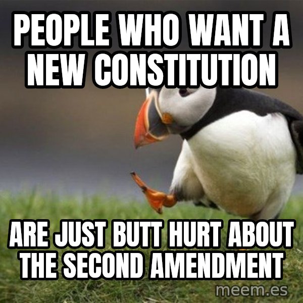 Unpopular Opinion Puffin meme: People who want a new Constitution / are just butt hurt about the second amendment