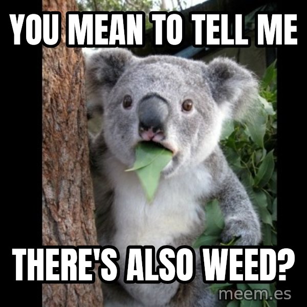 Koala can't believe it meme: you mean to tell me / there's also weed?