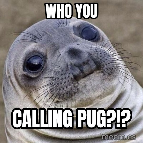 Awkward Seal meme: who you / calling pug?!?