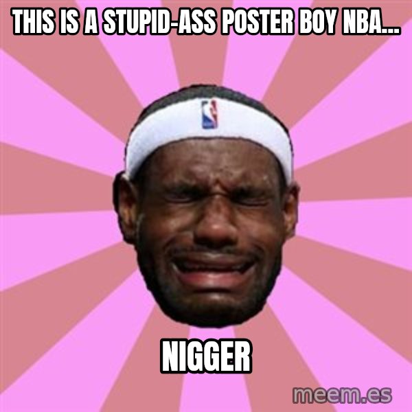 LeBron James meme: this is a stupid-ass poster boy nba... / nigger