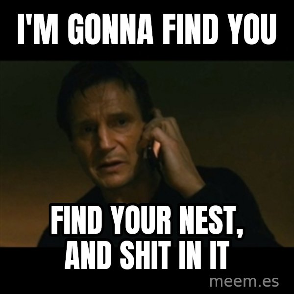 liam neeson taken meme: I'm gonna find you / find your nest, and shit in it