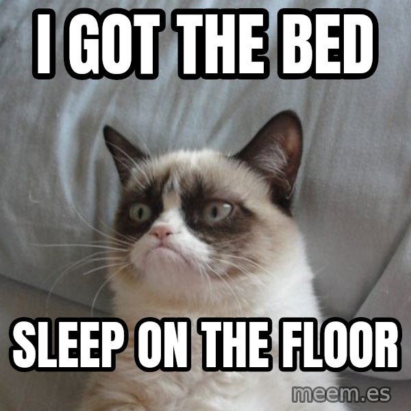 Grumpy cat good meme: i got the bed / sleep on the floor