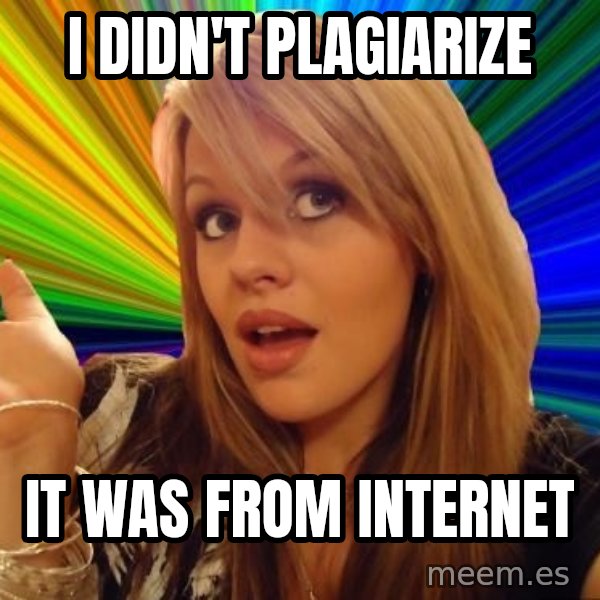 Dumb Blonde meme: i didn't plagiarize / it was from internet