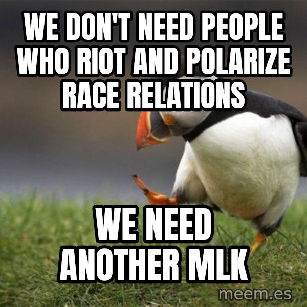 Unpopular Opinion Puffin meme: We don't need people who riot and polarize race relations / We need another MLK