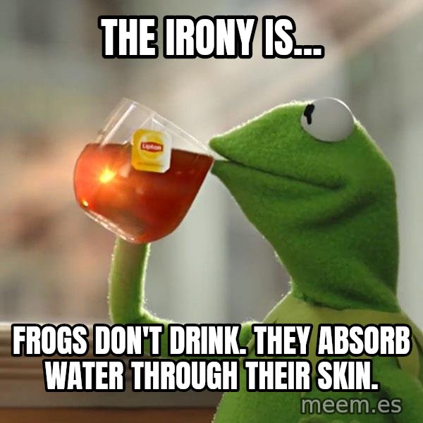 Kermit The Frog Drinking Tea meme: THE IRONY IS... / FROGS DON'T DRINK. THEY ABSORB WATER THROUGH THEIR SKIN.