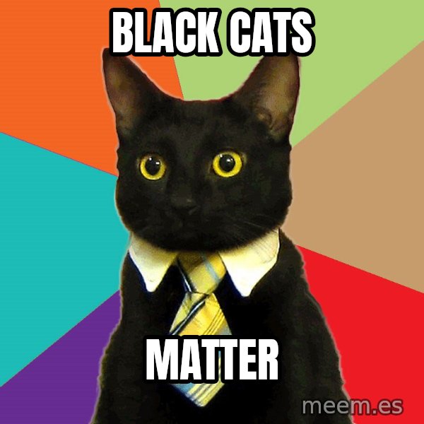 Business Cat meme: black cats / matter