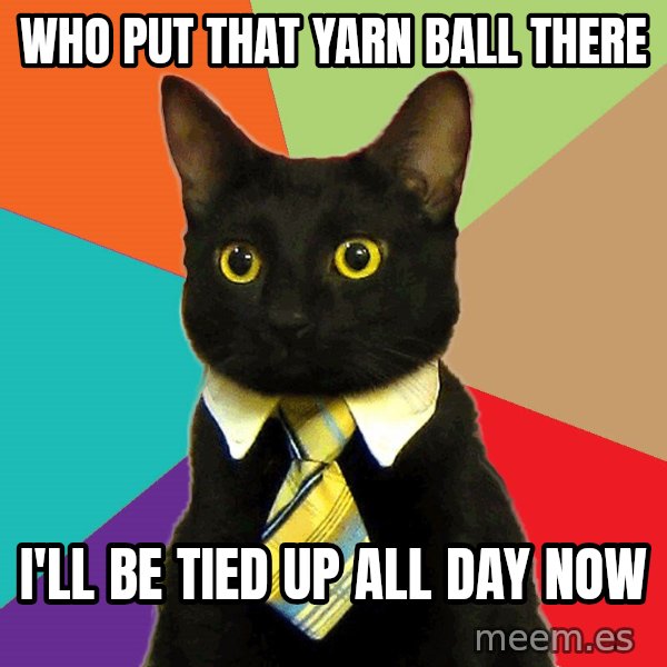 Business Cat meme: who put that yarn ball there / i'll be tied up all day now