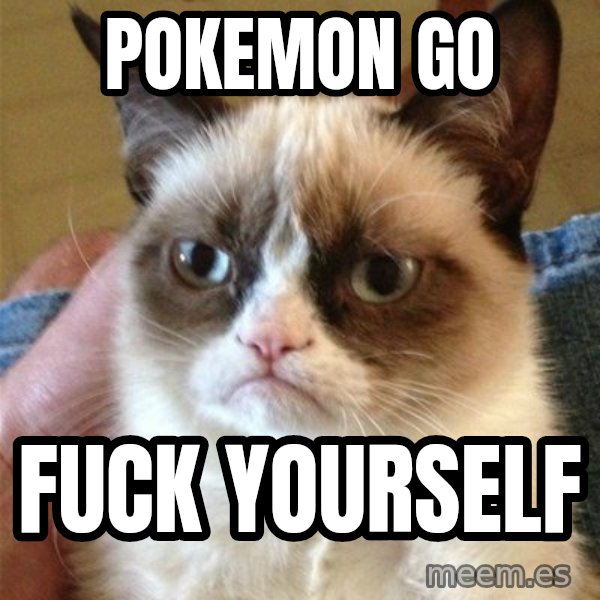 Grumpy Cat  meme: POKEMON GO / FUCK YOURSELF