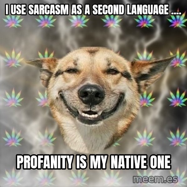 Stoner Dog meme: I use sarcasm as a second language .... / Profanity is my native one
