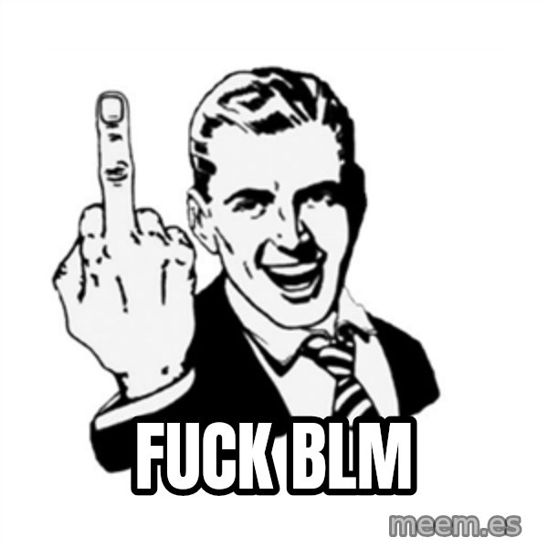 middle finger meme: FUCK BLM