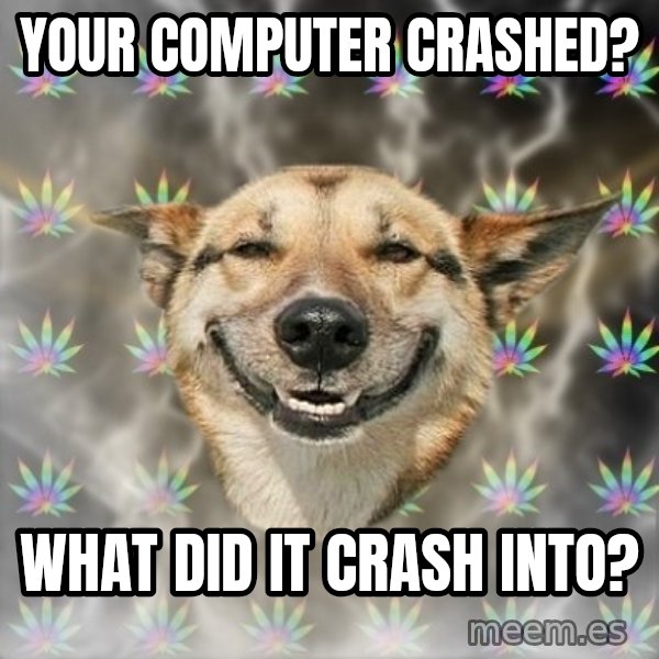 Stoner Dog meme: your computer crashed? / what did it crash into?