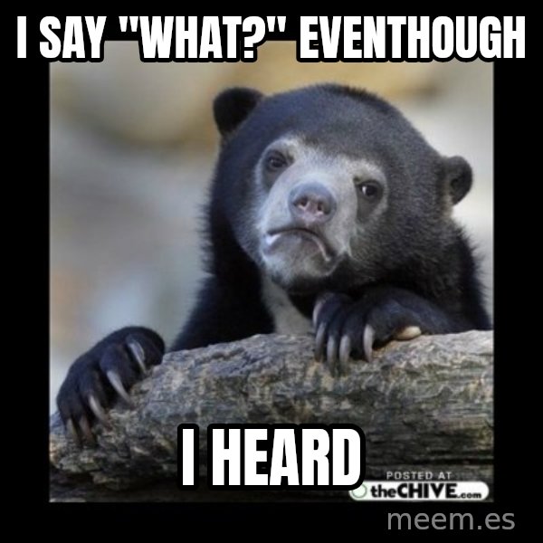 sad bear meme: I say "what?" eventhough / i heard