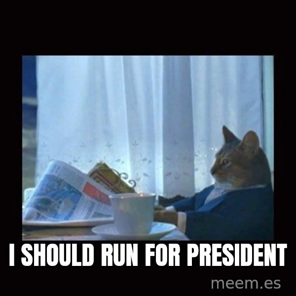 i should buy a boat cat meme: I should run for president