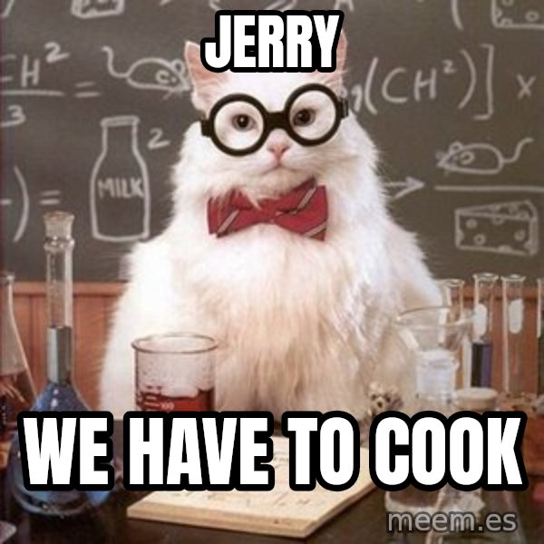 Chemistry Cat meme: Jerry / We have to cook