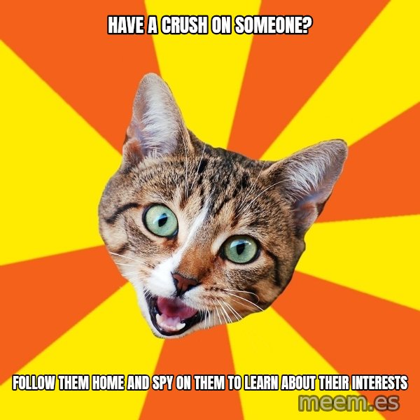 Bad Advice Cat meme: Have a crush on someone? / follow them home and spy on them to learn about their interests