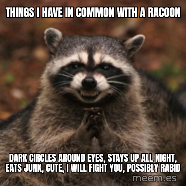 evil raccoon meme: things i have in common with a racoon / dark circles around eyes, stays up all night, eats junk, cute, i will fight you, possibly rabid