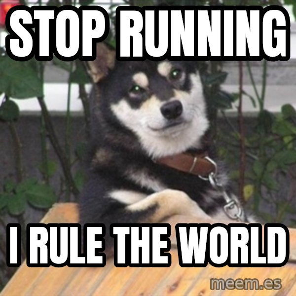 Cool Dog meme: stop  running / i rule the world