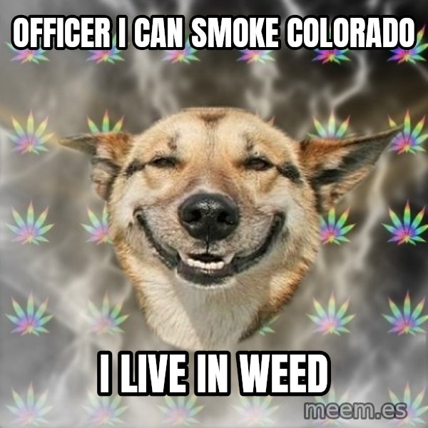 Stoner Dog meme: officer i can smoke colorado / i live in weed