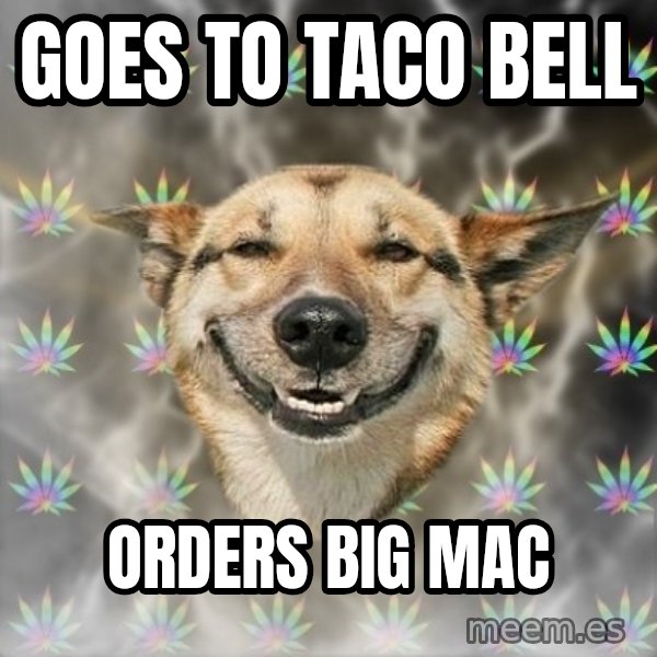 Stoner Dog meme: Goes to taco bell / orders big mac