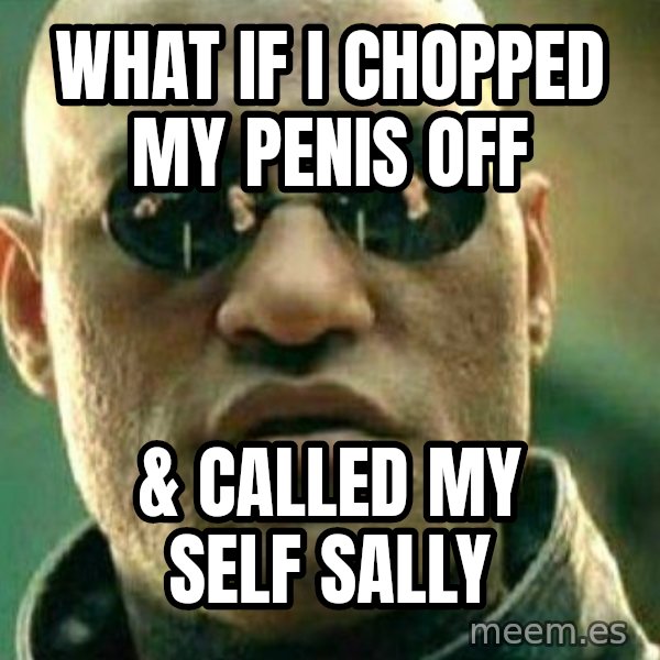 What If I Told You meme: what if i chopped my penis off / & called my self sally