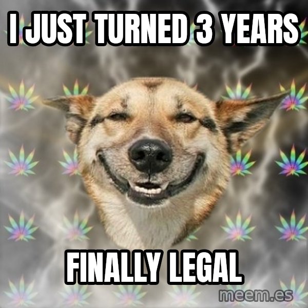 Stoner Dog meme: I just turned 3 years / Finally legal