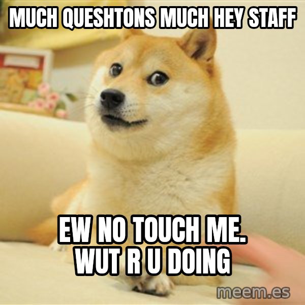 so doge meme: Much Queshtons Much Hey staff / Ew no touch me. Wut r u doing