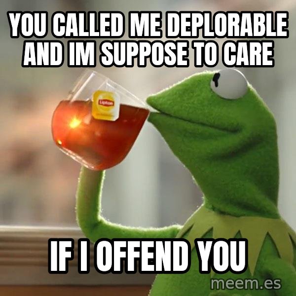 Kermit The Frog Drinking Tea meme: You called me Deplorable and Im suppose to care / if I offend you