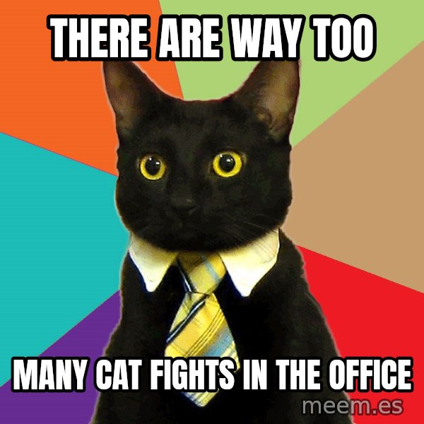 Business Cat meme: there are way too / many cat fights in the office
