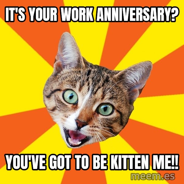 Bad Advice Cat meme: It's your work anniversary? / You've got to be kitten me!!