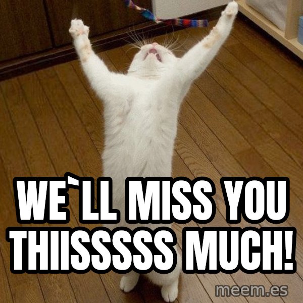 praise the lord cat meme: We`ll miss you thiisssss much!