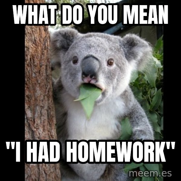 Koala can't believe it meme: What do you mean / "i had homework"