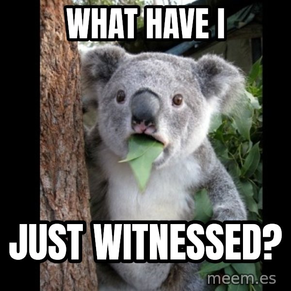 Koala can't believe it meme: What have I / Just witnessed?